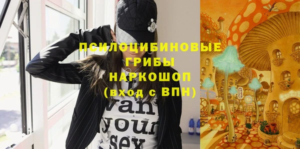 стафф Алзамай