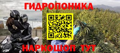 Альфа ПВП Будённовск