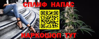 Альфа ПВП Будённовск