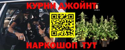 Альфа ПВП Будённовск