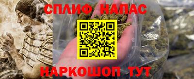 Альфа ПВП Будённовск