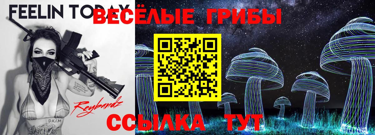 Грязи  Галлюциногенные грибы мицелий  Псилоцибиновые грибы мицелий  Вход с VPN 